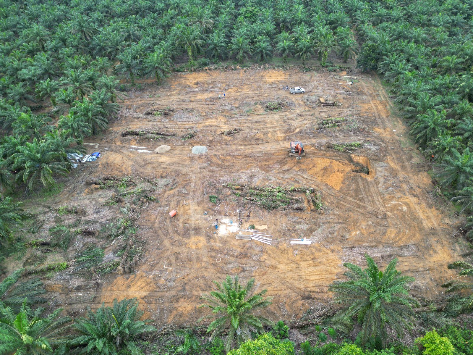 Blok lahan yang sudah dibersihkan di tengah kebun sawit, foto udara